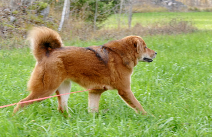 rörelse vid 9 månader