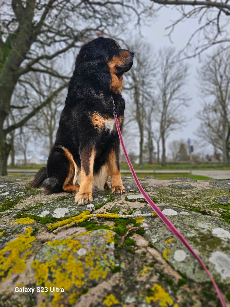 Talayeh 8 år, Foto: C Karlsson